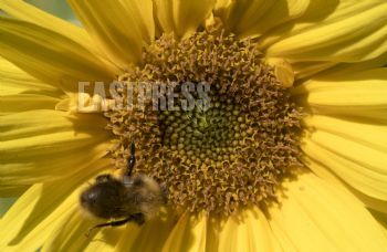 EA269002, Eastpress , Porvoo, Finland